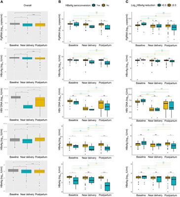 PgRNA kinetics predict HBsAg reduction in pregnant chronic hepatitis B carriers after treatment cessation